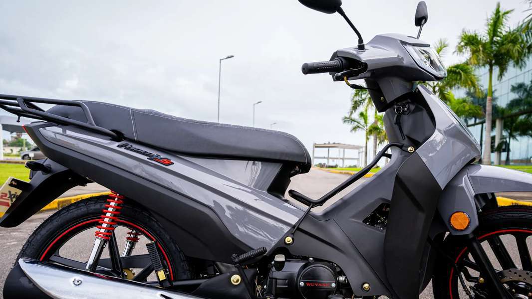 PHOENIX S EFI